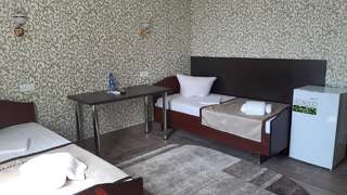 Отель Motel Xameleon Voznesensk Стандартный двухместный номер с 2 отдельными кроватями-1